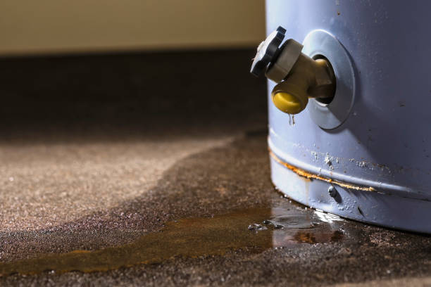Best Emergency water extraction  in Deephaven, MN