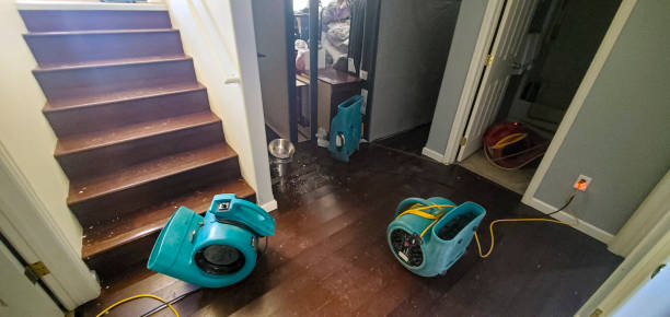 Best Flood restoration services  in Deephaven, MN