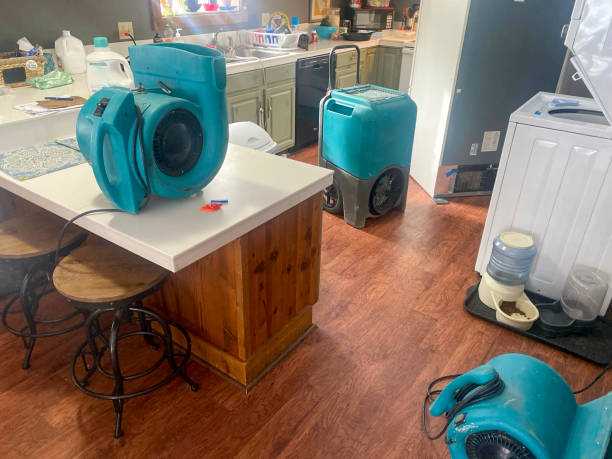 Best Ceiling water damage repair  in Deephaven, MN