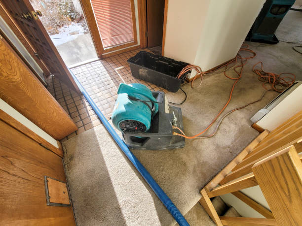 Best 24-hour water damage restoration  in Deephaven, MN