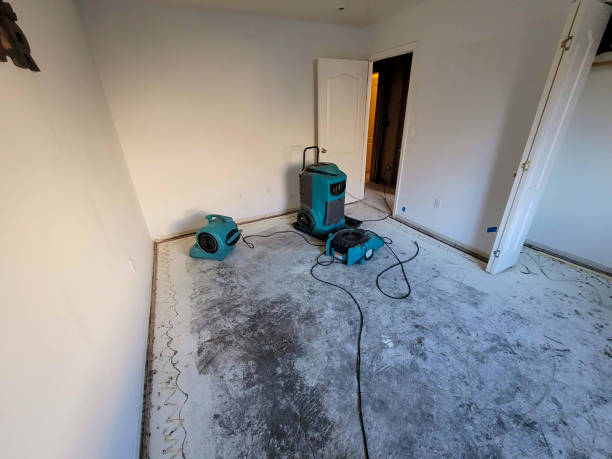 Best Emergency water damage restoration  in Deephaven, MN