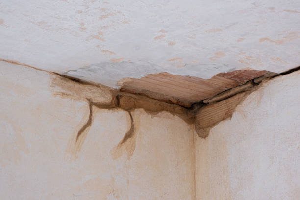 Best Water damage restoration mold remediation  in Deephaven, MN