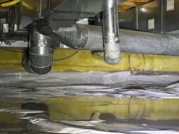 Best Basement water damage restoration  in Deephaven, MN