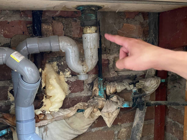 Best Water damage restoration near me  in Deephaven, MN